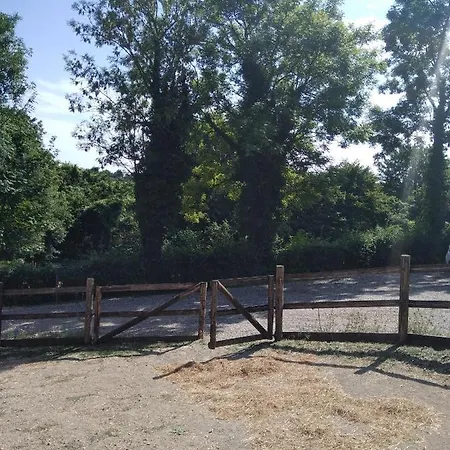 Lejlighed Du Petit Pont